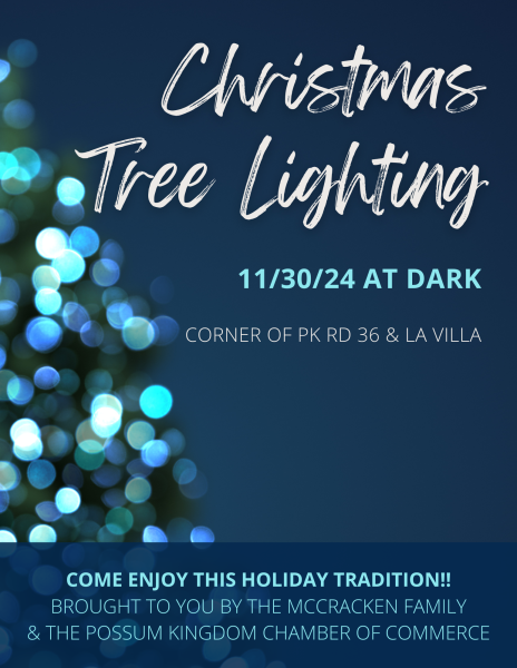 Christmas-Tree-Lighting